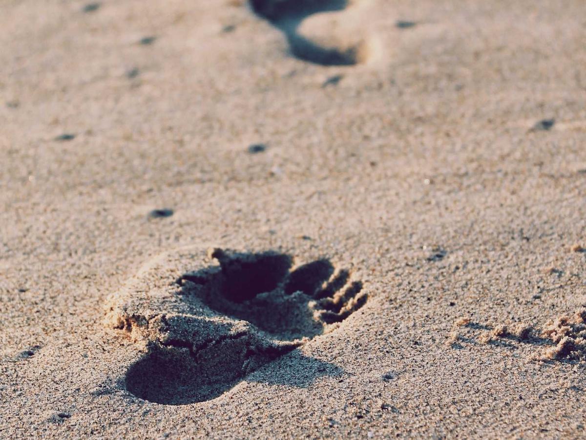 Mani artigiane che lavorano con tessuti pregiati in un atelier milanese